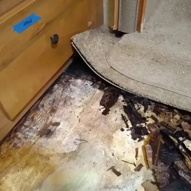 Wood Floor Water Damage in Blue Springs, MO